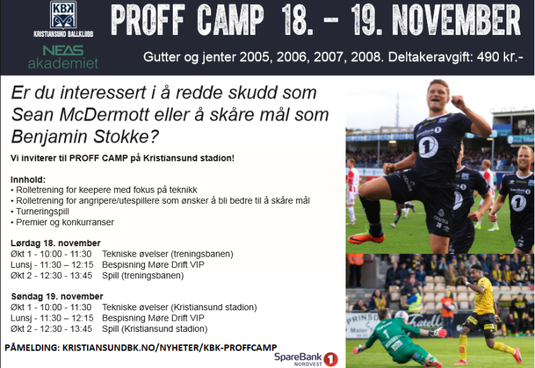 proffcampfinal jpg